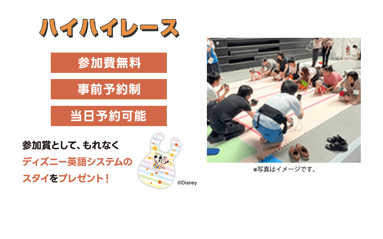 ハイハイレース